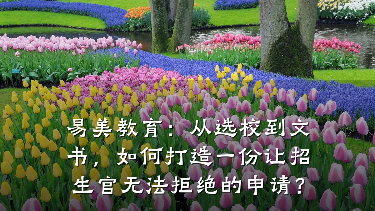 易美教育：从选校到文书，如何打造一份让招生官无法拒绝的申请？
