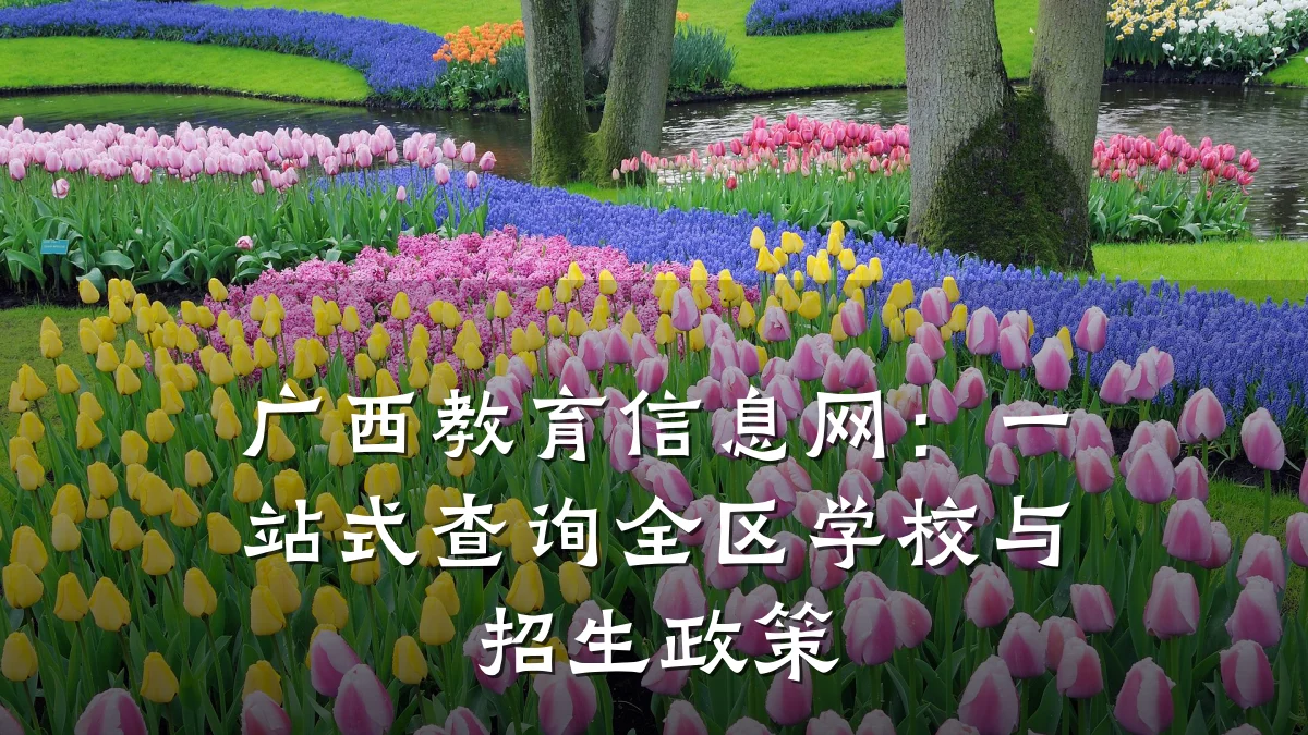 广西教育信息网:一站式查询全区学校与招生政策