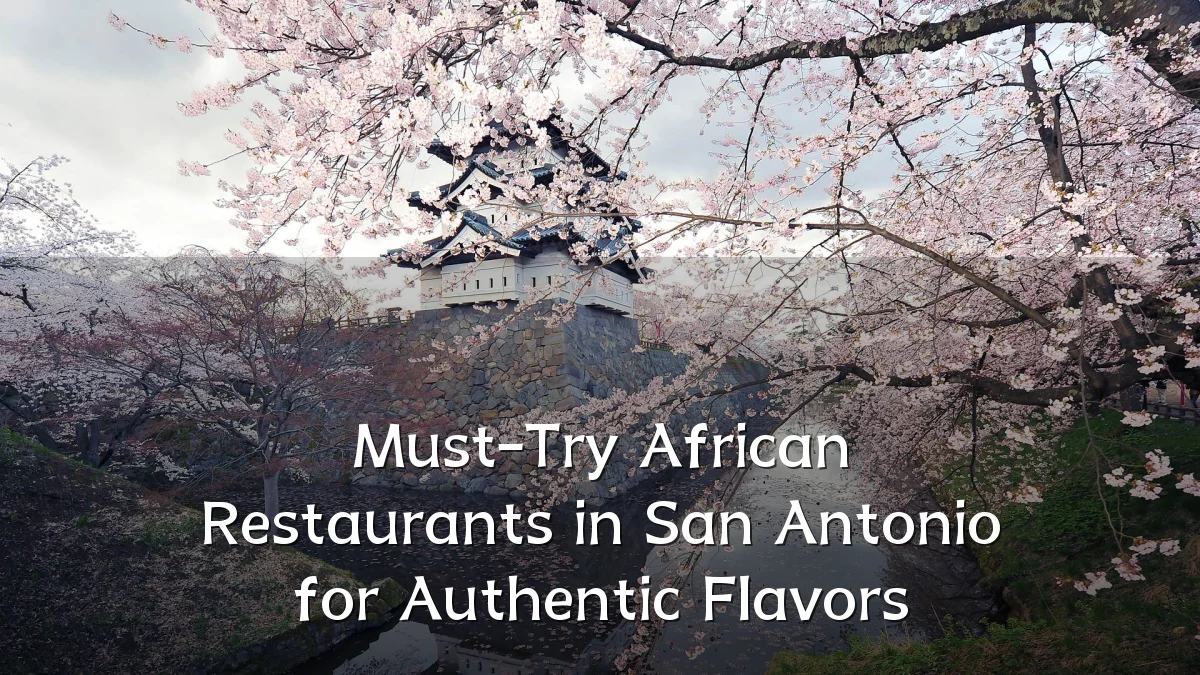 Must-Try African Restaurants in San Antonio for Authentic Flavors