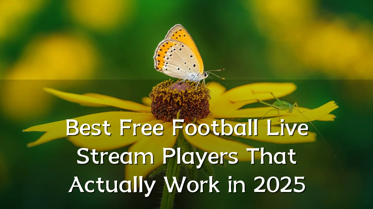 Best Free Football Live Stream Players That Actually Work in 2025