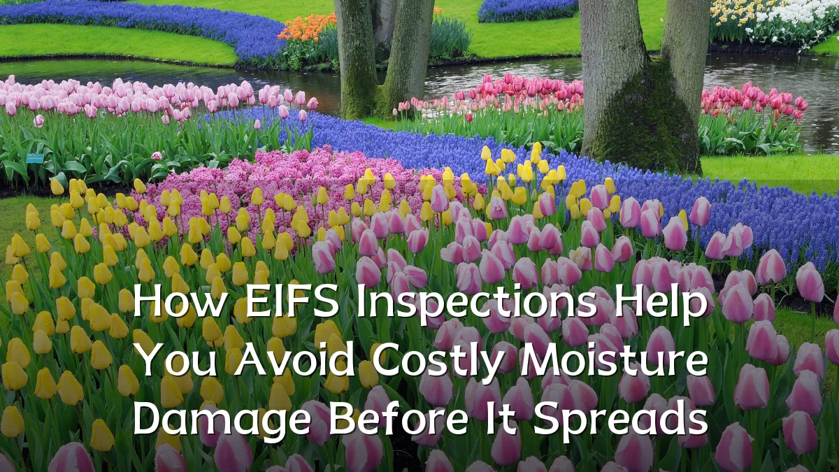 How EIFS Inspections Help You Avoid Costly Moisture Damage Before It Spreads
